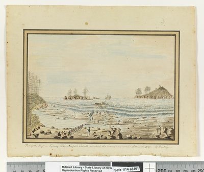 مقابل. ص. 195. جزء من الشعاب المرجانية في خليج سيدني ، جزيرة نورفولك ، حيث حُطمت سيريوس. 19 مارس 1790. "، 1802 (ألوان مائية) بواسطة وليام برادلي