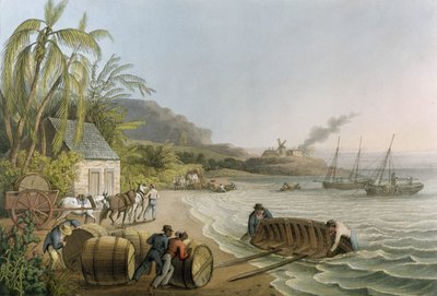 رسم الكارتنج ووضع السكر Hogsheads على اللوح "، اللوحة X من" عشرة مناظر في جزيرة أنتيغوا "، نشره W. Clark ، لندن ، 1823 (ألوان مائية) بواسطة وليام كلارك