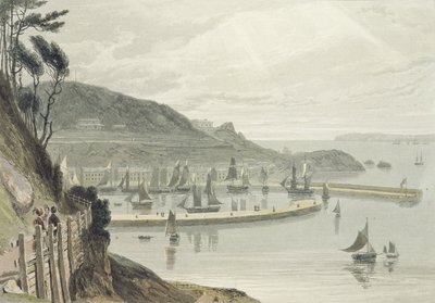 Torquay ، ديفون ، من المجلد الثامن من "رحلة حول بريطانيا العظمى بين عامي 1814 و 1825" ، نُشر عام 1825 (أكواتينت) بواسطة وليام دانييل
