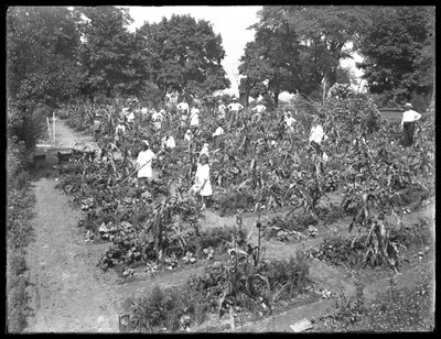 أطفال يعملون في حديقة مدرسة Isham Park ، مدينة نيويورك ، 16 أغسطس 1915 بواسطة وليام ديفيس هاسلر