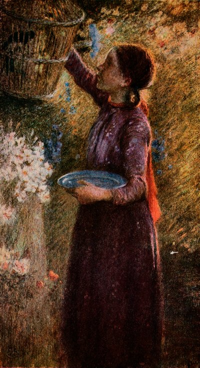 قفص الطيور ، c1900 ، 1918 بواسطة وليام إدوارد ستوت