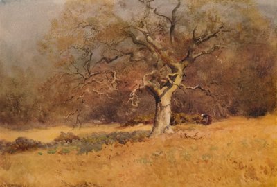 وينتر وودز ، c1916 ، 1938 بواسطة ويليام آير ووكر
