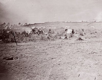 منظر بعيد لحصن برادي ، كاليفورنيا. 1865. بواسطة وليام فرانك براون