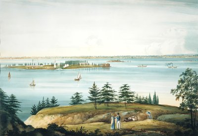 خليج نيويورك وجزيرة جفرنرز مأخوذة من بروكلين هايتس ، 1820-25. بواسطة وليام غي وول