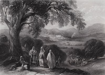 وادي الناصرة (نقش) بواسطة وليام هـ. بارتليت