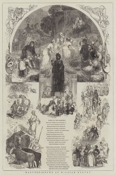 حصاد بواسطة William Harvey