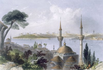 منظر عام للقسطنطينية من سكوتاري ، c.1850 (ألوان مائية) بواسطة وليام هنري بارتليت