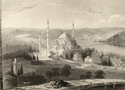 مسجد وقبر سليمان ، من برج Seraskier ، اسطنبول ، تركيا ، منقوش من H. Adlard بواسطة وليام هنري بارتليت