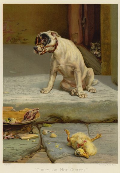 مذنب أو غير مذنب (chromolitho) بواسطة وليام هنري هاميلتون ترود