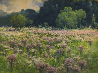 حقل جو فطيرة الأعشاب Pride of the Meadow ، nd بواسطة وليام هنري هولمز