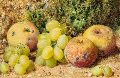 التفاح والعنب الأبيض ، 1860 (مرحاض على البطاقة) بواسطة وليام هنري هنت