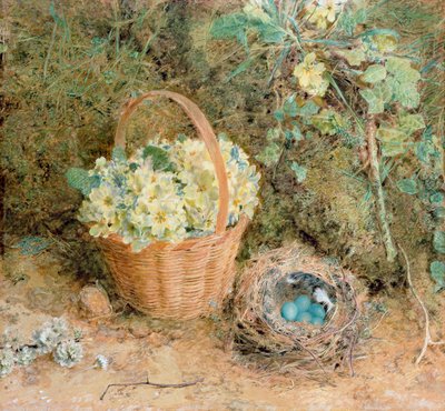 عش Chaffinch مع Primroses (مرحاض وجواش على الورق) بواسطة وليام هنري هنت