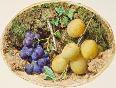 الخوخ الذهبي والعنب الأسود ، c.1860 بواسطة وليام هنري هنت