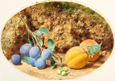 الخوخ الأرجواني والمشمش والجوز ، c.1860 بواسطة وليام هنري هنت