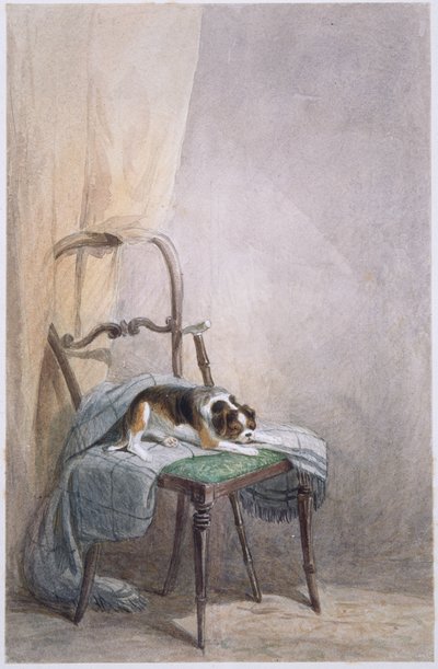 Study of a dog on a chair (watercolor on paper) بواسطة وليام هنري هنت