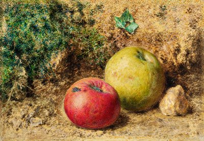 التباين - التفاح الأحمر والأخضر ، ص 1860 بواسطة وليام هنري هنت