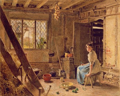 The Maid and the Magpie ، A Cottage Interior at Shillington ، Bedfordshire ، 1834 (مرحاض مظلل باللون الأبيض على الورق) بواسطة وليام هنري هنت