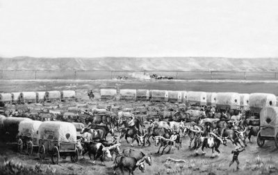 الثيران يجري مقيدًا في زريبة من العربات المغطاة في لوحة رسمها دبليو إتش جاكسون ، سكوتس بلاف ، نبراسكا: ج. 1875 بواسطة وليام هنري جاكسون