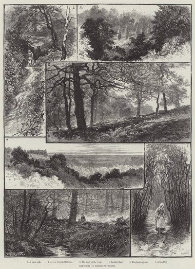 اسكتشات في Highgate Woods بواسطة William Henry James Boot