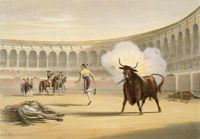 بانديرياس دي فويغو ، 1865 بواسطة وليام هنري ليك برايس