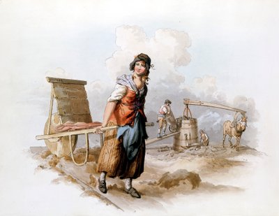 بريكفيلد ، 1808 بواسطة وليام هنري باين