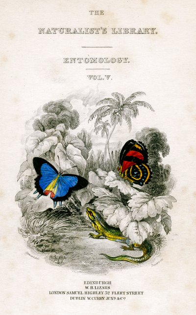 مكتبة علماء الطبيعة ، علم الحشرات ، المجلد الخامس ، الفراشات ، c1833-1865. بواسطة وليام هوم ليزارس