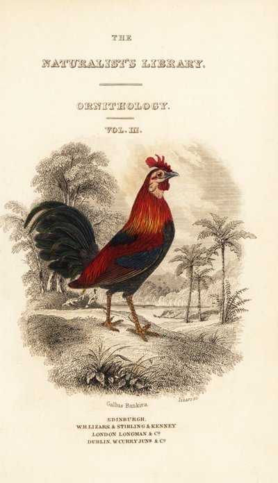 Titlepage with vignette of red junglefowl (Javan), Gallus gallus bankiva بواسطة وليام هوم ليزارس