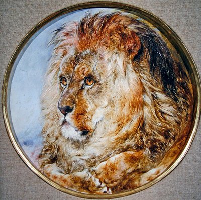 صورة لأسد بواسطة وليام هوجينز