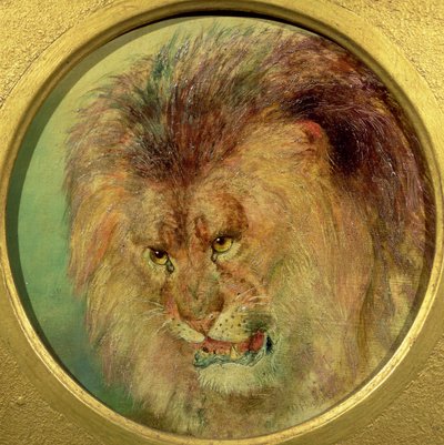 دراسة أسد بواسطة وليام هوجينز