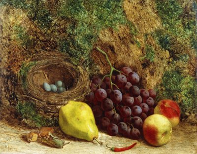 العنب ، والكمثرى ، والخوخ ، وعش الطيور من قبل موسي بانك ، 1864 بواسطة وليام هيوز