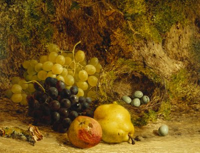 العنب والتفاح والكمثرى وعش الطيور على ضفة موسي 1865 بواسطة وليام هيوز
