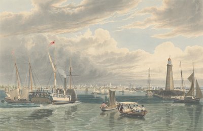 بوفالو ، من بحيرة إيري ، نُشر عام 1836. بواسطة وليام جيمس بينيت