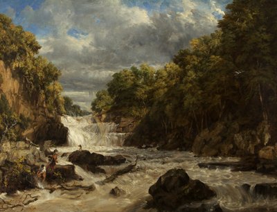 شلالات السنونو ، Bettws-y-Coed بواسطة وليام جيمس مولر