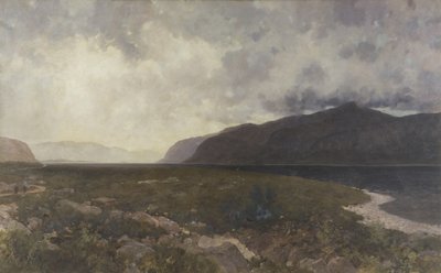 Loch Maree from Grudie Bridge, c.1905 (oil on canvas) بواسطة وليام ماثيو هيل