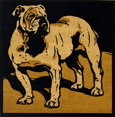 The British Bull-Dog ، من "The Square Book of Animals" ، نشره William Heinemann بواسطة وليام نيكلسون