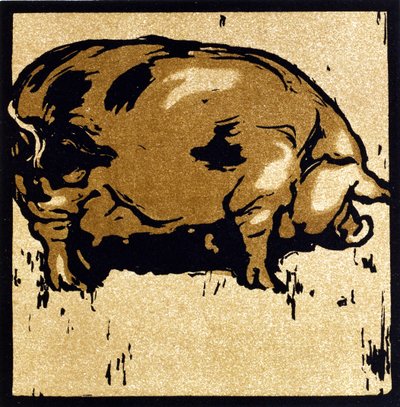 The Learned Pig ، من "The Square Book of Animals" ، نشره William Heinemann بواسطة وليام نيكلسون
