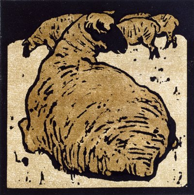 The Simple Sheep ، رسم توضيحي من "The Square Book of Animals" ، نشره William Heinemann بواسطة وليام نيكلسون