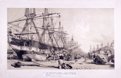 أحواض غرب الهند ، بوبلار ، لندن ، ١٨٣٠ بواسطة وليام باروت