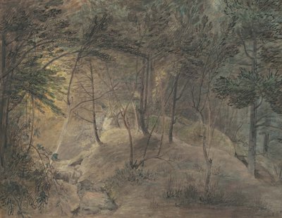 The View from the Springhouse at Echo، c.1808 (ألوان مائية وحبر على ورق منسوج) بواسطة وليام راسل بيرش