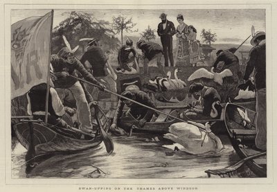 Swan-Upping على نهر التايمز فوق وندسور بواسطة William Small