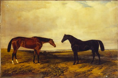 إيرل غرانارد &39;s خليج مشرق مهرة وخليج الظلام الفحل ، 1885 بواسطة وليام سنر. لوكر