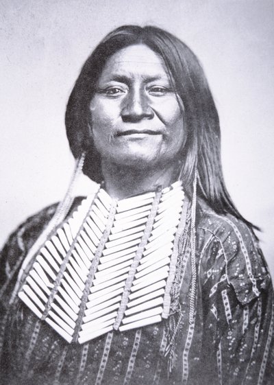 Comanche Tribesman بواسطة وليام سولي
