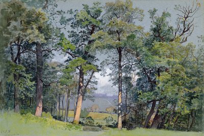 كوبيه، بحيرة جنيف بواسطة وليام ستانلي هاسيلتين