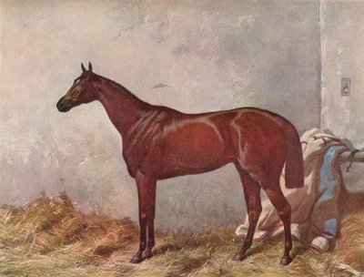 الناسك: الفائز في ديربي ستيكس في إبسوم ، 1867 ، 1903 بواسطة وليام سمرز