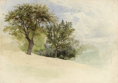 منظر طبيعي بأشجار على جانب التل ، 1880-1885 (مرحاض ، غرافيت ولمسات من الغواش الأبيض على ورق نسج ثقيل كريمي) بواسطة وليام تروست ريتشاردز