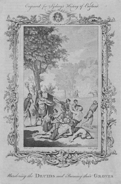 قتل الكهنة وحرق بساتينهم ، 1773. بواسطة وليام ووكر