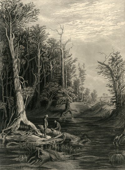 "The Chickahominy" ، ١٨٧٢. بواسطة وليام ويلستود