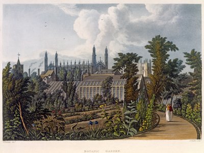 الحدائق النباتية ، كامبريدج ، من "تاريخ كامبريدج" ، نقشها جوزيف قسطنطين ستادلر (fl.1780-1812) ، حانة. بواسطة R. Ackermann ، 1815 (ألوان مائية) بواسطة وليام ويستال