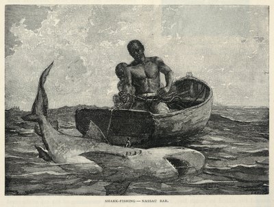 بائع متجول، بوابة ناساو، صيد سمك القرش - حانة ناساو، من مجلة القرن، فبراير 1887 بواسطة وينسلو هومر