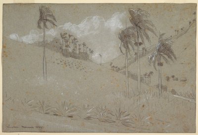 رسم، سفح التل الكوبي، 1885 بواسطة وينسلو هومر